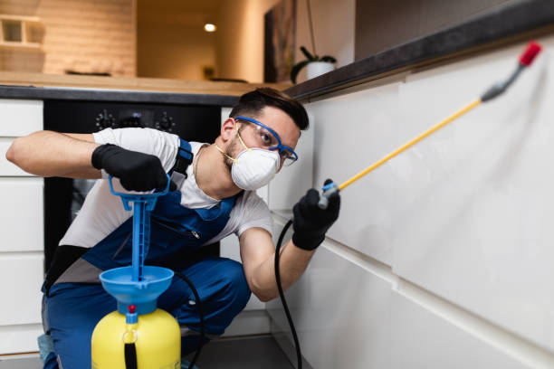 Best Cockroach Control Services  in Connersville, IN