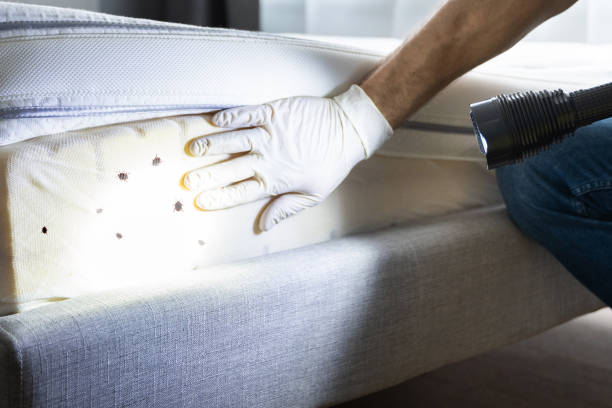 Best Emergency Pest Control  in Connersville, IN