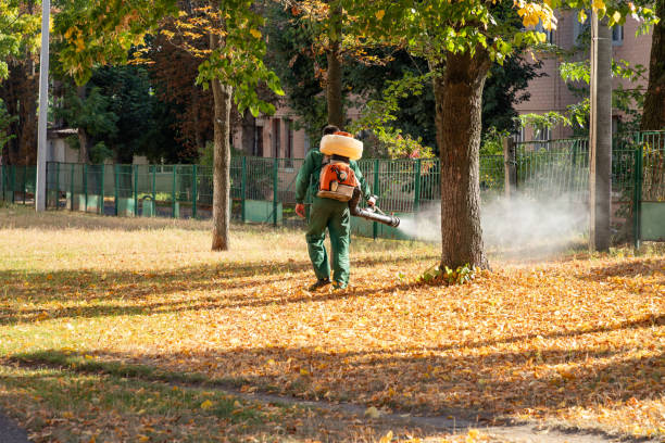 Best Bird Control  in Connersville, IN
