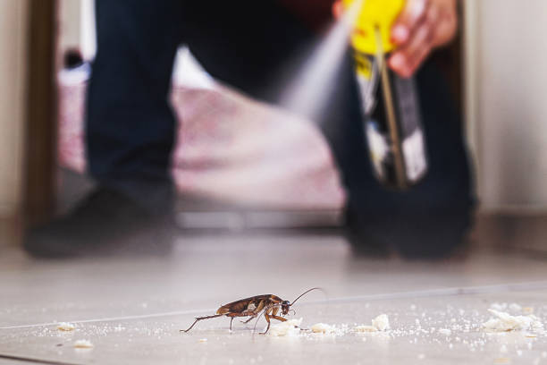 Best Termite Control Services  in Connersville, IN