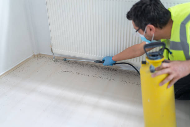Best Affordable Pest Control Services  in Connersville, IN