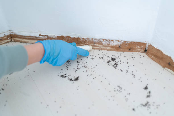 Best Pest Inspection Near Me  in Connersville, IN